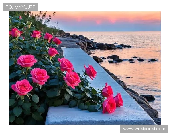 探索开运入口的奥秘，开启人生新篇章的关键所在