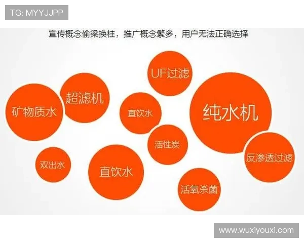 揭开开云集团官网背后的奢侈品行业秘密与发展趋势